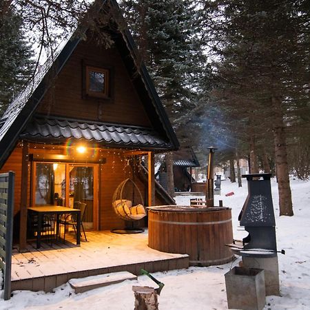 Villa Oliwne Wzgórza Stronie Śląskie Exterior foto