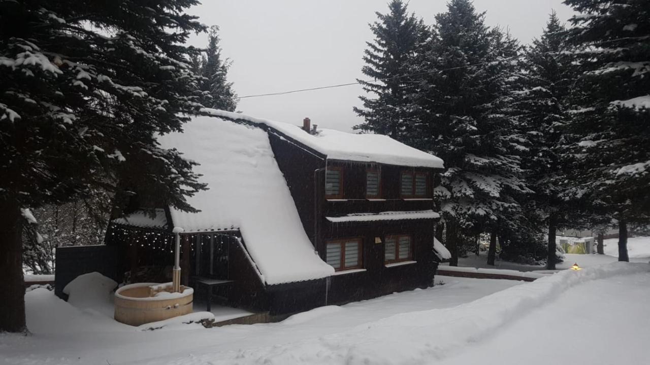 Villa Oliwne Wzgórza Stronie Śląskie Exterior foto