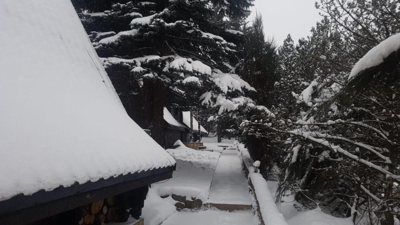 Villa Oliwne Wzgórza Stronie Śląskie Exterior foto