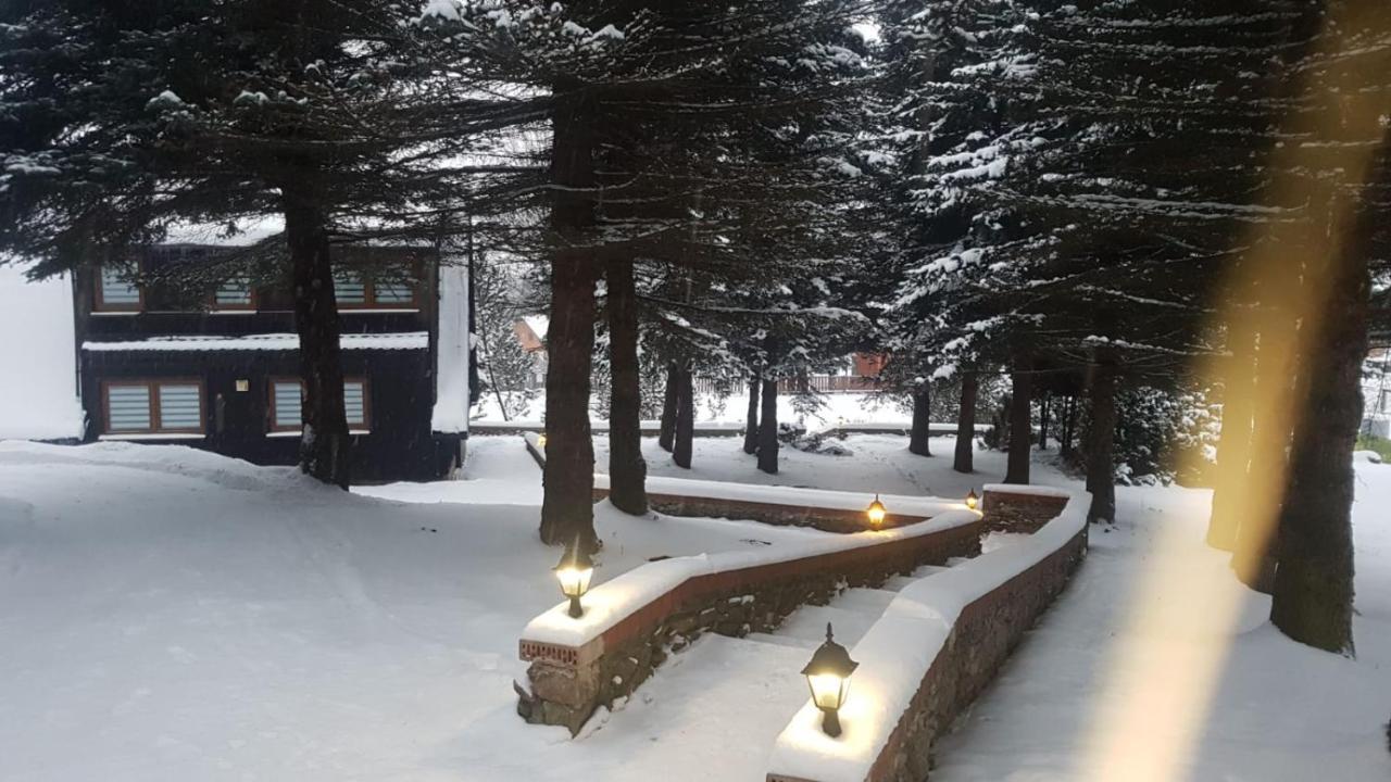 Villa Oliwne Wzgórza Stronie Śląskie Exterior foto