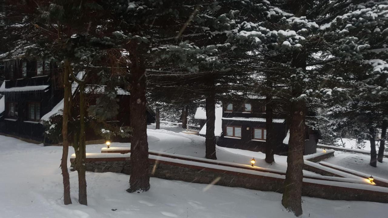 Villa Oliwne Wzgórza Stronie Śląskie Exterior foto